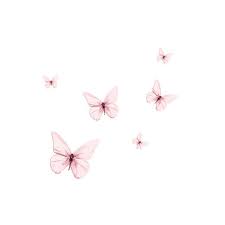 Eledhwen Fortheloveof El9 Png Butterfly Wallpaper Iphone Butterfly Wallpaper Butterfly Art