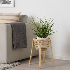 Buskbo Piedestal Rotin Ikea Rattan Furniture Ikea Plant Stand Ikea Plants