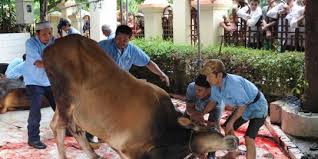 Gambar untuk mewarnai tema qurban. 5 Cerita Unik Di Balik Hari Raya Idul Adha Merdeka Com