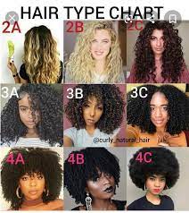 Curly (loose curls) thick & full with lots of body. Knowing Your Hair Type Now That You Natural Hair Crown Facebook