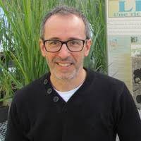 PDF) Ammonia volatilization following application of pig slurry increases  with slurry interception by grass foliage