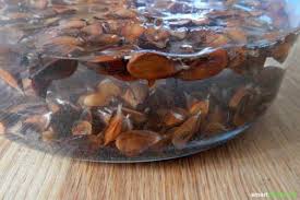 Bucheckern Vielseitiger Genuss Aus Heimischen Waldern Hausgemachtes Rezept Krauterkuche Paleo Rezepte