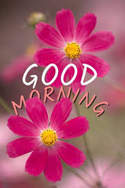 Maybe you would like to learn more about one of these? Good Morning Best Quotes For Her Colourhaze De