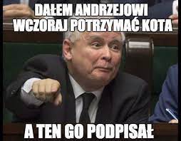 Oświecony andrzej duda memy o żarówce i demokracji. Prezydent Andrzej Duda Memy Satyra Obrazki Humor