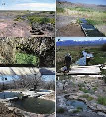 La comida realmente es deliciosa. A Site Of Now Dried Springs At Las Palomas Chihuahua Mexico Download Scientific Diagram