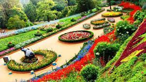 Guests are encouraged to use the service entrance on houston street or enter through the rose garden center if you have any questions about parking or hours,. India S Largest Rose Garden Travels Next Youtube