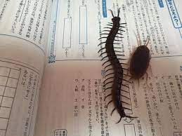 死ん で 詫びろ