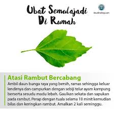 Terlepas dari indahnya pantai yang tersaji, bali juga memiliki tempat wisata yang tak kalah menarik, salah satunya yaitu tegenungan waterfall. Miera Hassan