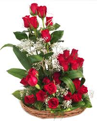 We did not find results for: Beautiful Basket Of Red Flowers