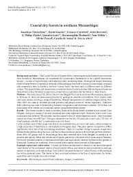 Image result for Commiphora fulvotomentosa