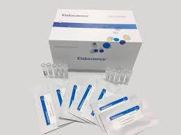 Test nhanh kháng thể kháng virus Porcine Circovirus Type 2 - ABT - Trách  nhiệm và Sáng tạo