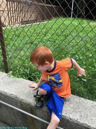 Prime times are ages 2.5 to 3.5. Potty Training Update The Struggle Is Real Day 3 4 The Mama Maven Blog