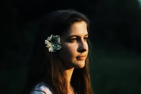 images + art by jonah