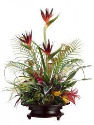 Check spelling or type a new query. Tropical Sconces Tropical Arrangements Tropical Silk Flower Arrangements Tropical Flower Arrangements Tropical Floral Arrangements Flower Arrangements