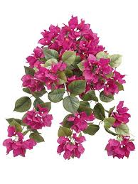 Inexpensive, fast shipping, 30 days money back guarantee, check now. Artificial 24 Bougainvillea Hanging Bush Beauty Silk Flower Depot