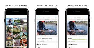 Share experiences by posting your catches, fishing spots, and tackle. Fishbrain Reels In 13 5 Million For Its Fishing Social Network