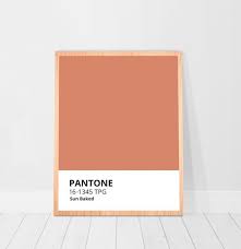 Burnt Orange Print Pantone Kleur Afdrukbare Muur Kunst Pantone Etsy In 2021 Pantone Colour Palettes Pantone Color Orange Paint Colors