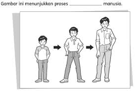 Minggu 10 (minggu 1 intenship). Soalan Latihan Sains Tahun 2 Upsr Online