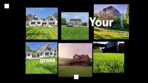 What to expect when you aerate with trugreen. Lawn Restoration Repair In Perth Green Oasis Lawn And Reticulation