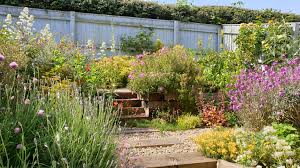 Eating less meat and dairy, and more plants, is one way you may be able to help the environment, and stay healthy yourself. 10 Easy Ways You Can Help Our Environment