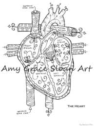 You can then either get a print out for the book so that you can. Heart Anatomy Coloring Worksheets Teaching Resources Tpt