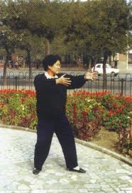 Wang Yufang Daughter Of Wang Xiangzhai Qigong Exercises Qigong Tai Chi