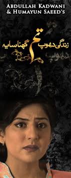 Zindagi Dhoop Tum Ghana Saya