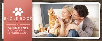 Our hours of operation are primarily weekday evenings and overnights, as well as 24 hours on weekends and holidays when other los angeles animal hospitals aren't available. Eagle Rock Emergency Pet Clinic Closed Eagle Rock Los Angeles