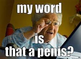 Whoops granny saw my porn - quickmeme