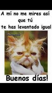 Pin En Frases Y Fotos