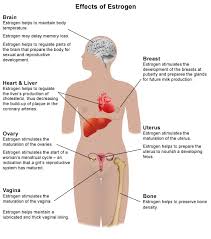 It is composed of many different types of cells that together create tissues and subsequently organ systems. What Hormone Is Responsible For The Expression Of Secondary Sexual Characteristics In Human Females Socratic