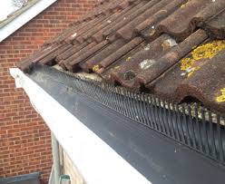 Removing A Roofline Nest Anglia Roofline