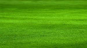 Grun manufacturers precision engineered equipment for the agricultural and landscape contractor industries. Mit Dieser Rasenpflege Wird Der Rasen Schon Dicht Und Saftig Grun Wetter De