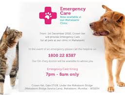 Adeline animal hospital was opened in the spring of 2017 by dr. Crownvet The Team