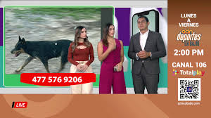 #EnVivo