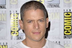 Nov 10, 2020 · wentworth miller, el actor que durante las cinco entregas ha dado vida a michael scofield ha decidido no volver a interpretarlo. Wentworth Miller Que Devient La Star De Prison Break Tele Star