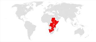 Image result for Streptopetalum serratum