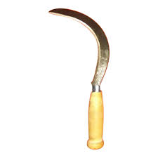 Cdc considers scd a major public health concern and is committed to conducting surveillance, raising awareness, and promoting health education. Nandi United And Hornbill Wooden Handle Sickle Size Dimension 18 X 5 X 1 5 Inches Rs 100 Piece Id 19387554388
