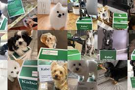 Check out our puppy delivery selection for the very best in unique or custom, handmade pieces from our shops. Your Dog Deserves The Best Here S The Dish About Canada S Largest Fresh Dog Food Delivery Service Vancouver Is Awesome