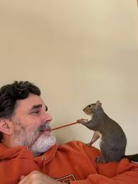 Ladies from The Junction..tug of War v The Smithy 1975. The landlady Carol  Holt at the front
