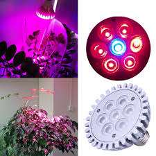 Archibald highquality best weed cannabis high yield. Buy E27 7w Red Blue Hydroponic Plant Led Grow Light Lamp Bulb 220v Bazaargadgets Com