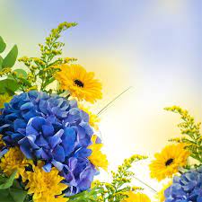 Toronto flower shop delivering the freshest flowers. Maple Leaf Florist Maple Leaf Florist Toronto Free Flower Delivery Toronto