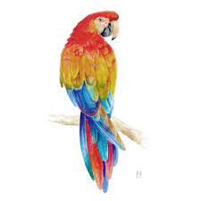 Parrot Printable Wall Art Scarlet Macaw Digital Print Parrot Watercolor Painting Tropical Bird Wall Decor Colorful Macaw Parrot Art Print Parrots Art Parrot Watercolor Painting Watercolor Parrot