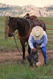 Flickriver Most Interesting Photos From Great Cowboy Photos Pool Cattle Dog Australian Cattle Dogs Cow Dogs