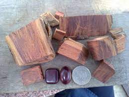 Kayu Nagasari