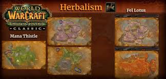 These two herbs can be found in abundance in and around the. How To Choose Profession In Wow Tbc Classic 2021 Guide