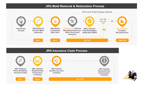 Check spelling or type a new query. Services Jrg Mold Inspection Testing