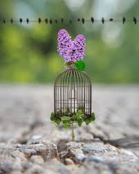 Pin By Littlepb W On Hacerben Cool Pictures For Wallpaper Miniature Photography Cute Photography