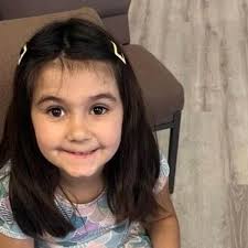 His pit bull mauled a Baton Rouge girl, 7, to death. He got a suspended  sentence, probation.