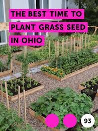 Learn The Best Time To Plant Grass Seed In Ohio How To Guides Tips And Tricks Growing Vegetables Florida Gardening Winter Vegetables Gardening